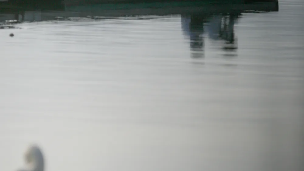 - ilustrativna fotografija-<br>Velenjsko jezero- Mesto Velenje - 50 let mesta//FOTO: Matej PovšeOPOMBA: ZA OBJAVO V PRILOGI – DNEVNIKOV OBJEKTIV - REPORTAŽA