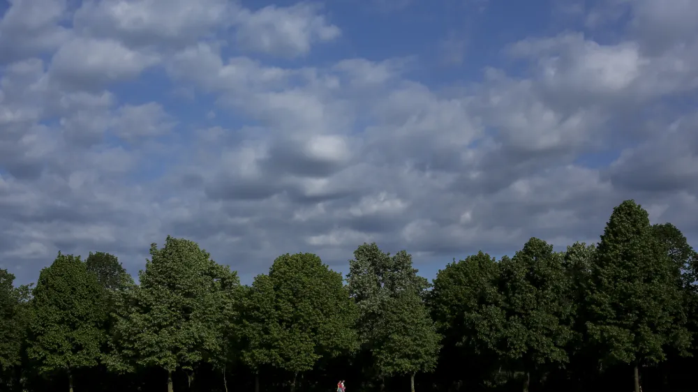 ﻿- oblaki - drevesa - narava - <br><br><br>- 59. Pohod ob žici Ljubljana 2015 - Pot ob žici - otroci iz ljubljaskih vrtcev na poti okoli žice - Šiška               //FOTO: Jaka Gasar