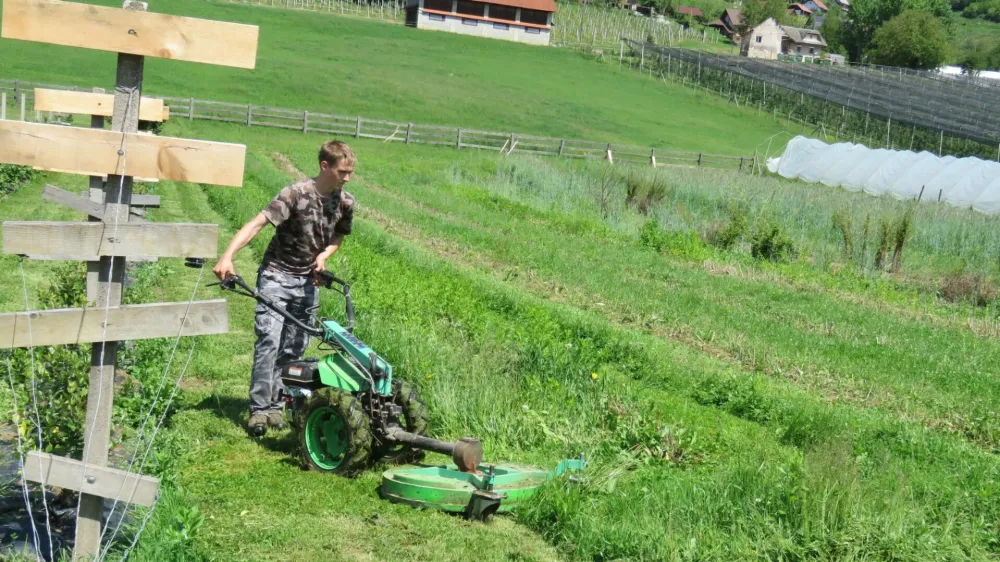 Center biotehnike in turizma Grm Novo mesto. Izobraževalni program gospodar na podeželju. Foto: arhiv Grma 