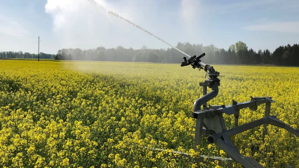 kmetijstvo, suša, namakanje, polje, kmetija Krabonja, Mihovci pri Ormožu. Foto: Primož Krabonja 