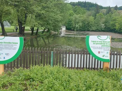 Poškodovane table ob tivolskem ribniku