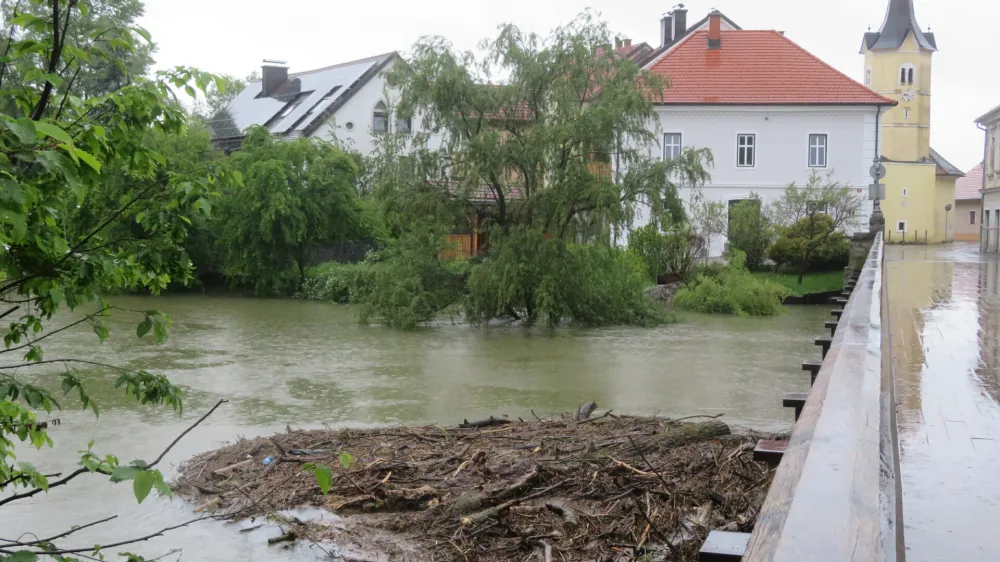 Narasla Krka je včeraj naplavila cel kup vejevja pod južni kostanjevi&scaron;ki most. F Dragana Stanković