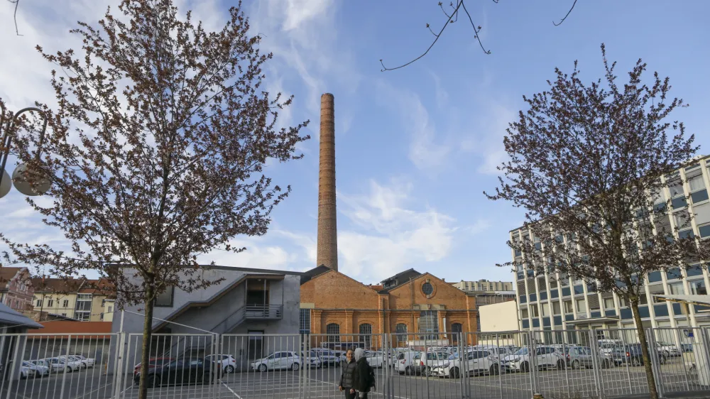 Slomškova - 04.04.2023 - pomlad v mestu – cvetenje - //FOTO: Luka Cjuha