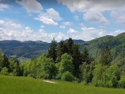 narava sonce pomlad travnik gozd simbolična fotografija