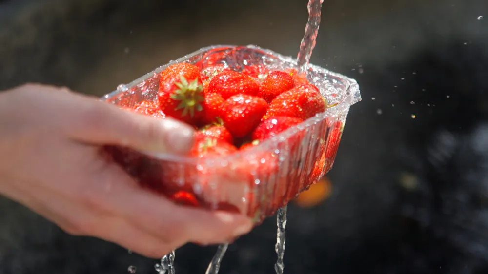 ilustrativna fotografija. Sadje, zdrava prehrana, jagodefoto: Bojan Velikonja