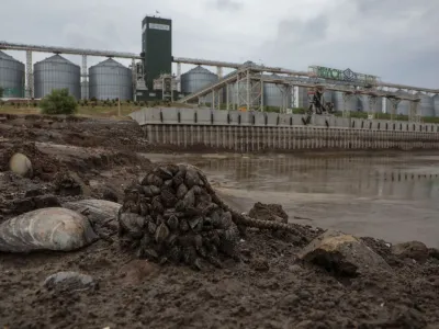 A view shows a grain terminal and a river port on the dried-up Dnipro river bank after water level sharply dropped following Kakhovka dam destruction, amid Russia's attack on Ukraine, in the village of Marianske, Dnipropetrovsk region, Ukraine June 14, 2023. REUTERS/Stanislav Yurchenko