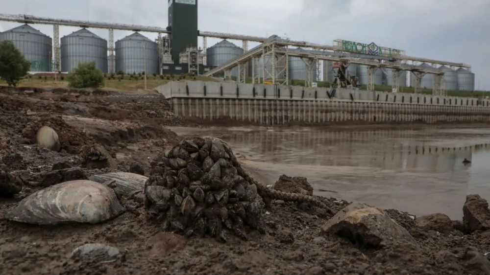 A view shows a grain terminal and a river port on the dried-up Dnipro river bank after water level sharply dropped following Kakhovka dam destruction, amid Russia's attack on Ukraine, in the village of Marianske, Dnipropetrovsk region, Ukraine June 14, 2023. REUTERS/Stanislav Yurchenko