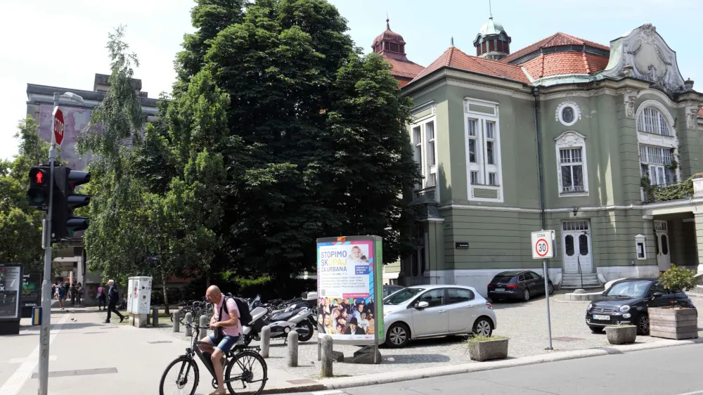 - 19.06.2023 &ndash; drevo kostanj pred SNG drama <br><br>//FOTO: Tomaž Skale<br>