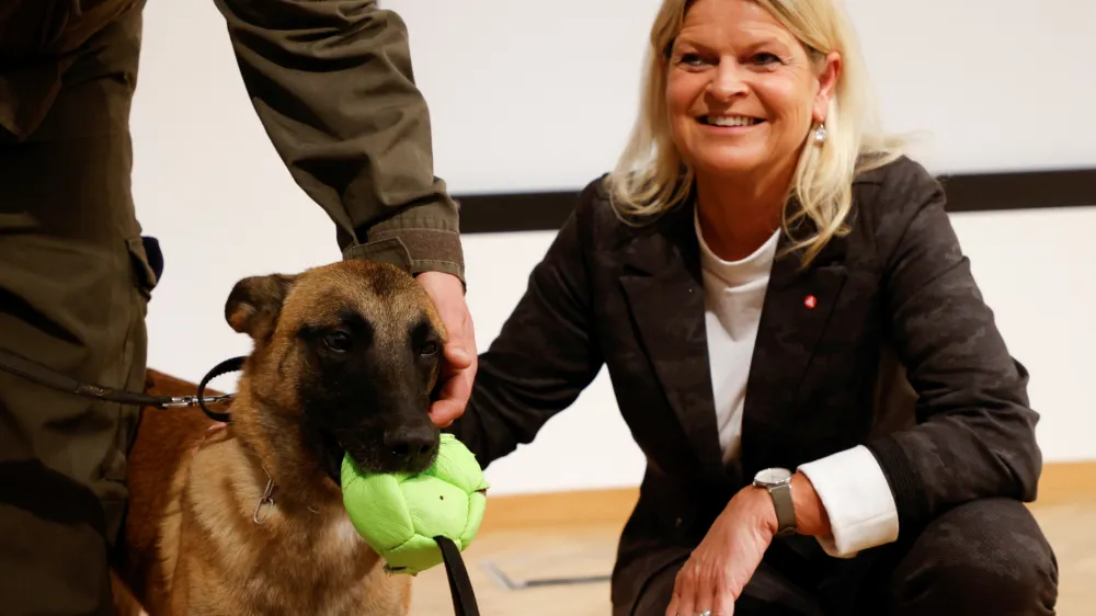 ﻿Austria's Defence Minister Klaudia Tanner pets Fantasy, a sniffer dog trained to detect the coronavirus disease (COVID-19), next to a trainer during a news conference in Vienna, Austria November 2, 2021. REUTERS/Leonhard Foeger