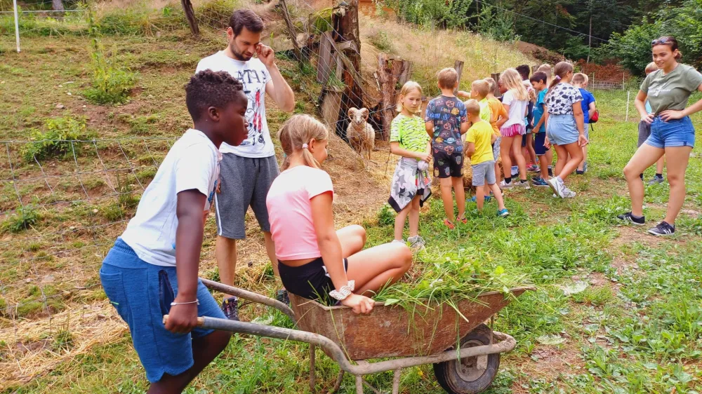 »Na kmetiji je lepo ...« so si otroci razposajeno prepevali med ogledom posestva in različnimi kmečkimi opravili.