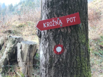 ﻿Dnevnikova izvidnica, Lovrenc na Pohorju