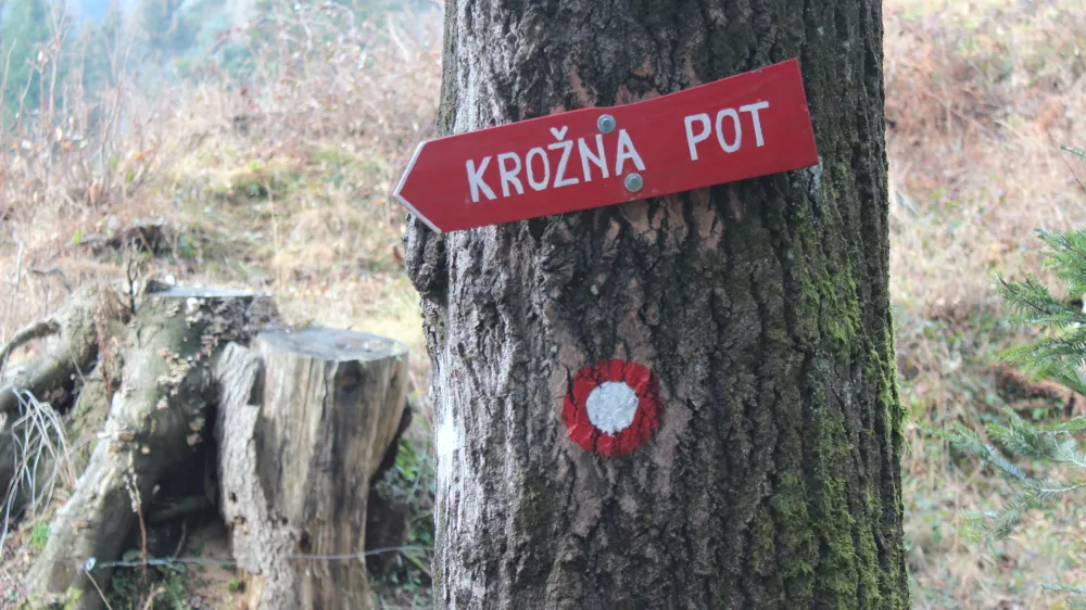 ﻿Dnevnikova izvidnica, Lovrenc na Pohorju