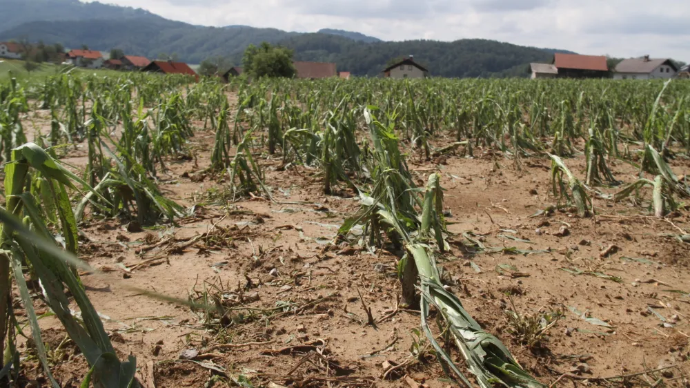 Nedavna neurja so razdejanje povzročila tudi na kmetijskih povr&scaron;inah.