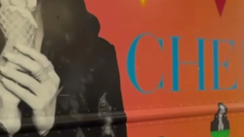 Cher s svojo linijo sladoledov.