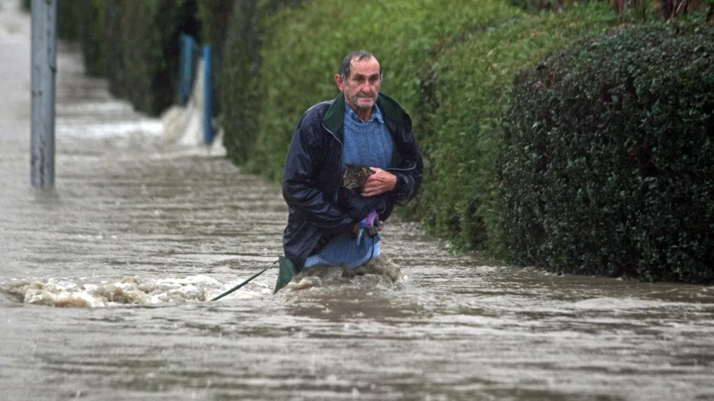 Dogo&scaron;e- Poplave 2012 - reka Drava prestopila bregove zaradi dviga zapornic na avstrijski strani //FOTO: Jaka Gasar