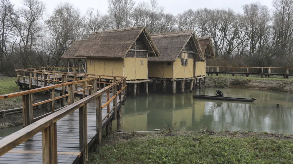 - koli&scaron;čarska naselbina Morostig &ndash; hi&scaron;a narave in koli&scaron;č. - 01.12.2022 &ndash; IG &ndash; Interpretacijski center - odprtje razstave in koli&scaron;čarske naselbine - zaključek operacije Interpretacija biotske raznovrstnosti in dedi&scaron;čine koli&scaron;č na Ljubljanskem barju (Na-kolih) //FOTO: Jaka Gasar