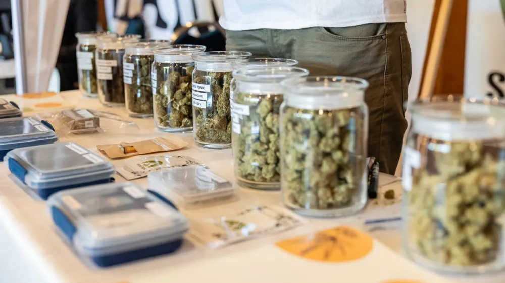 Na konferenci na Bledu so razpravljali tudi o raziskovanju endokanabinoidov, razvijajoči se znanosti o gojenju konoplje, trendih v tehnologiji in industriji konoplje.