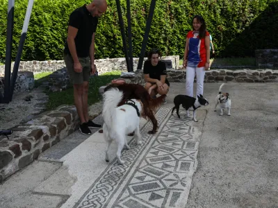 - 10.09.2023. Voden ogled po Emoniki namenjen lastnikom psov s psi. Ogled arheoloških ostankov rimskega mesta Emonika.//FOTO: Bojan Velikonja