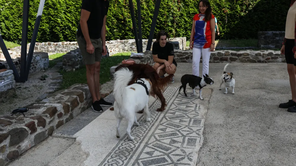 - 10.09.2023. Voden ogled po Emoniki namenjen lastnikom psov s psi. Ogled arheoloških ostankov rimskega mesta Emonika.//FOTO: Bojan Velikonja