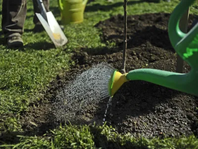 ﻿- Vrtički v Ljubljani 2013 - delo na vrtu - vrtičkarstvo - vrt - spomladanska setev - sajenje dreves - sadovnjak - zalivanje <br><br><br><br><br>//FOTO: Tomaž Zajelšnik