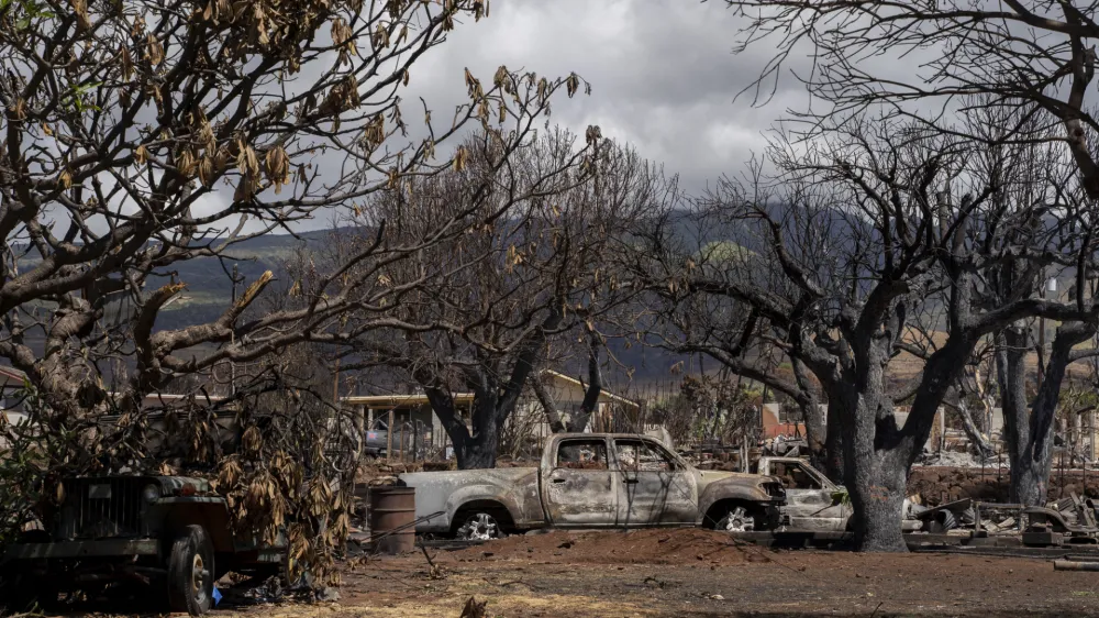 Charred trees and burned cars are pictured on Malo Street, Monday, Sept. 25, 2023, in Lahaina, Hawaii, following Maui's deadly wildfire. (AP Photo/Mengshin Lin)