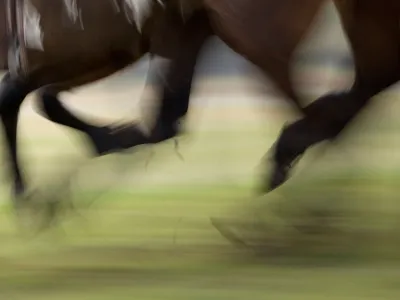 BK3DDA Horses hooves in a race