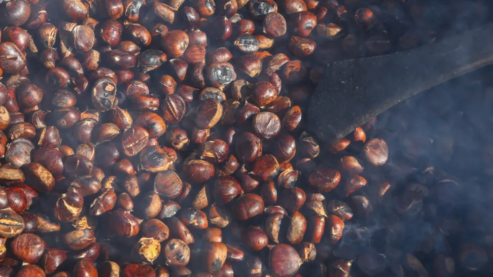 ﻿Peka kostanja, kostanj18.10.2015.Janče Kostanjeva nedelja, tradicionalna prireditev, ki ga organizira Turistično društvo Jančefoto: Bojan Velikonja