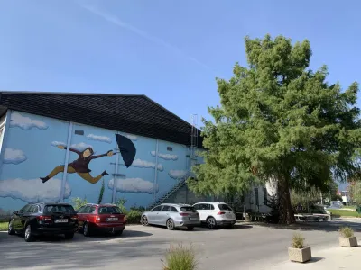 Naj drevo Kočevja 2023, metasekvoja