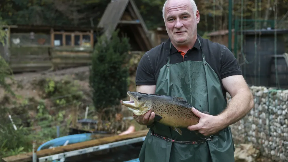 Andrej Škoberne, - 30.10.2023 - Ribogojnica Natura, vzreja postrvi, Želimlje 23C, //FOTO: Jaka Gasar
