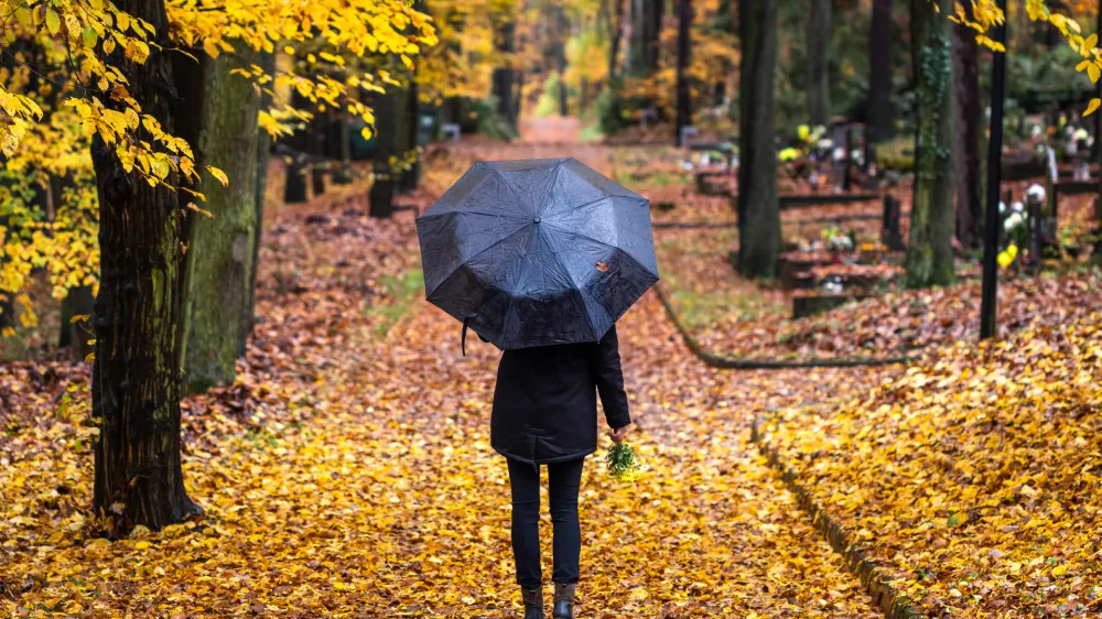 Woman in black with umbrella walking in cemetery at autumn rain. Lonely mourner with flowers in graveyard