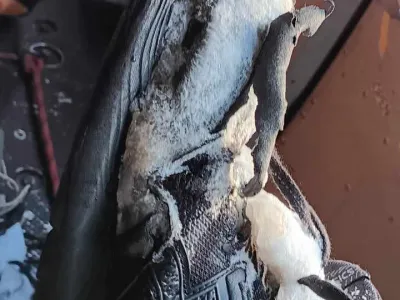 ''V takih copatih še poleti ne bi upal niti na sosedov hrib, kaj šele v Julijske Alpe.''