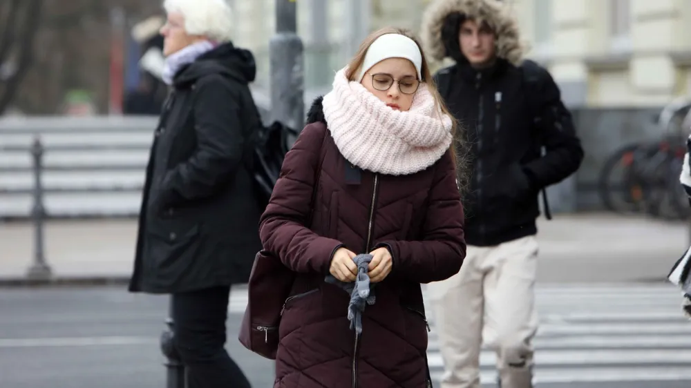 - 04.12.2023 – simbolična fotografija – zima – jutranji mraz v Ljubljani – temperature padle pod ničlo – //FOTO: Tomaž Skale