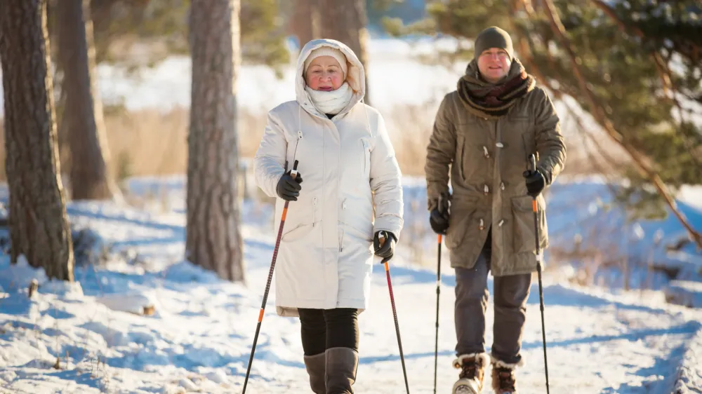 Winter sport in Finland - nordic walking. Senior woman and man hiking in cold forest. Active people outdoors. Scenic peaceful Finnish landscape.
