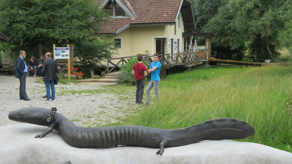 Črna človeška ribica, ki živi le v nekaj izvirih na območju Dobličice, je zelo občutljiva na vsakršno onesnaženost vode. Na sliki turistična kmetija Zupančič v Jelševniku, kjer so pred tremi leti uredili infocenter o črnem močerilu.
Foto: Dragana Stanković Q