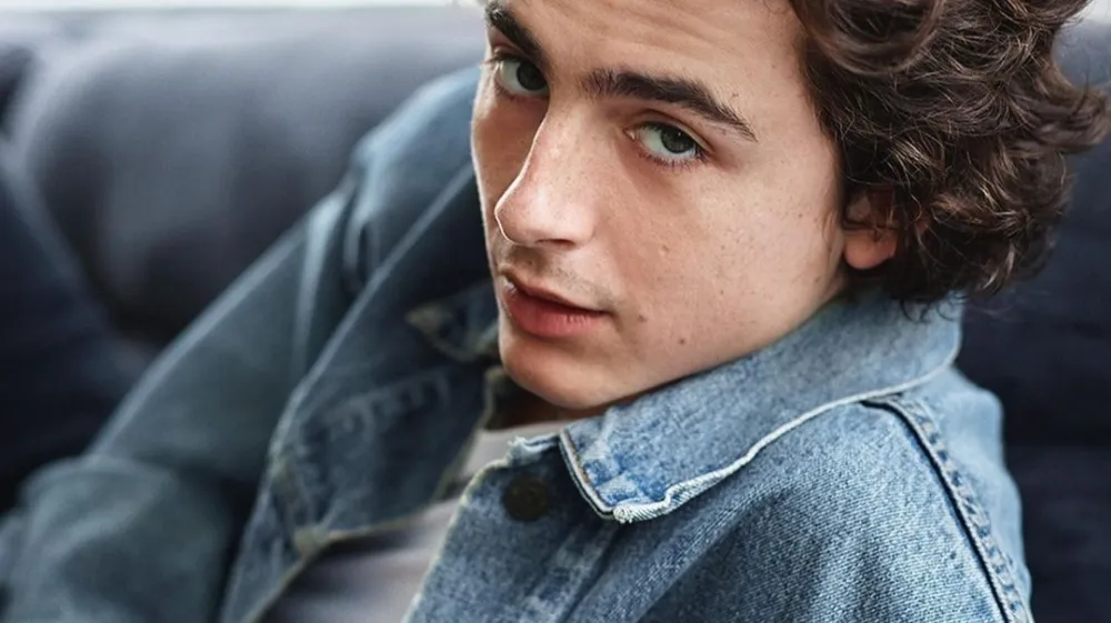 Timothée Chalamet 