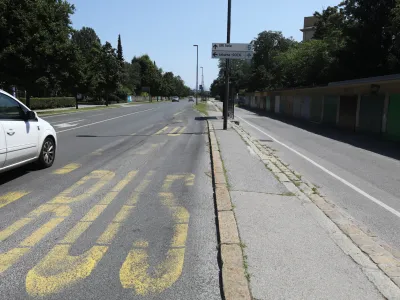 Lani so občani za naj drevored predlagali tudi drevored na Linhartovi cesti, ki ga bodo zaradi rekonstrukcije ceste deloma posekali.