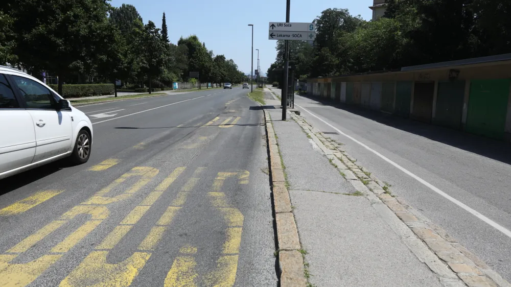 Lani so občani za naj drevored predlagali tudi drevored na Linhartovi cesti, ki ga bodo zaradi rekonstrukcije ceste deloma posekali.