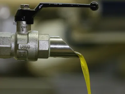 - Oljarna Torkla &Scaron;alara, stiskalnica - stiskanje olja  - Družinska kmetija Vanja Dujc - pridelovanje oljk in oljčnega olja Vanja - obiranje in proizvodnja oljčnega olja v slovenski Istri- nasad oljk Vanje Dujca leži na jugozahodnih pobočjih Male Seve nad Portorožem- obiranje in proizvodnja oljčnega olja - oljke - olive//FOTO: Bojan VelikonjaOPOMBA: ZA OBJAVO V PRILOGI &ndash; DNEVNIKOV OBJEKTIV - REPORTAŽA