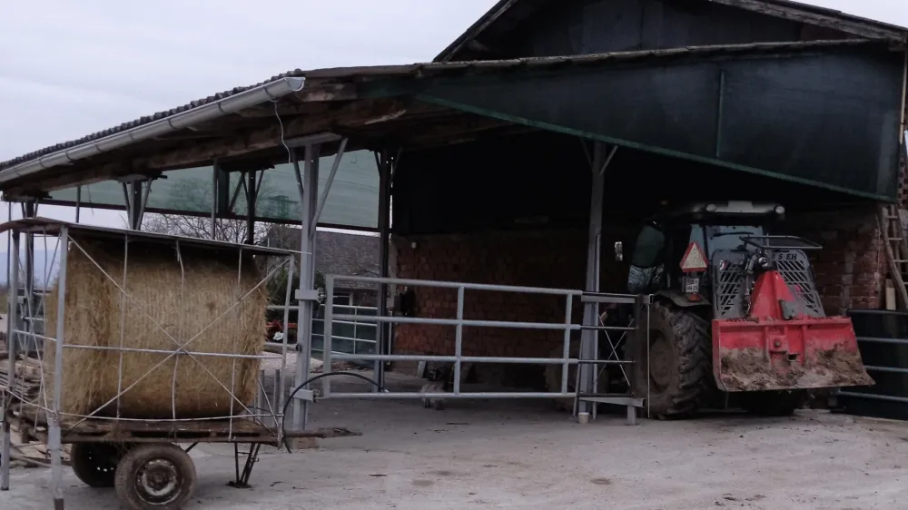 kmetija Možgan, odvzeto govedo, Leskovec pri Kr&scaron;kem. Foto: družina Možgan 