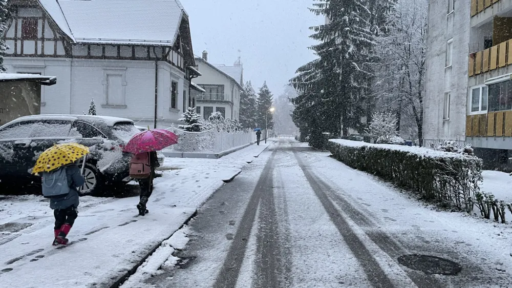 Celje.<br>Snezne razmere v Celju.<br>Foto: STA