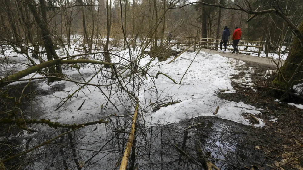 Med največjimi mokrišči v Krajinskem parku Tivoli, Rožnik in Šišenski hrib, če odštejemo približno 40 ekstenzivnih travnikov, so Koseški bajer in Tivolski ribnik ter naravna rezervata Mostec in Mali Rožnik oziroma Rakovniško barje. 