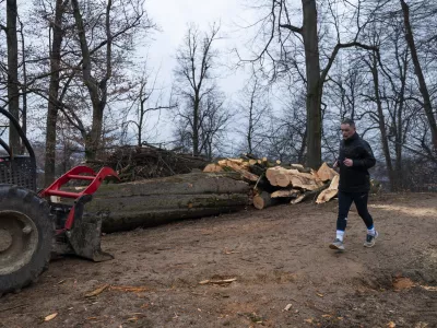 športtekrekreacija- 27.02.2024 – Krajinski park Tivoli – sečnja oslabljenih in bolnih dreves na območju Podrožniške poti v Krajinskem parku Tivoli, Rožnik in Šišenski hrib //FOTO: Nik Erik Neubauer