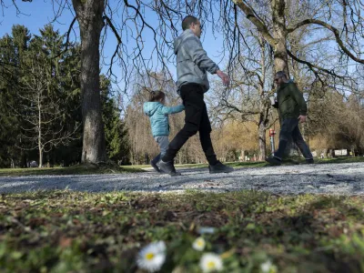 Za svoje celodnevno odgovorno delo rejniki od letošnjega 1. marca kljub povišici prejemajo 164 evrov mesečno. Fotografija je simbolična. 