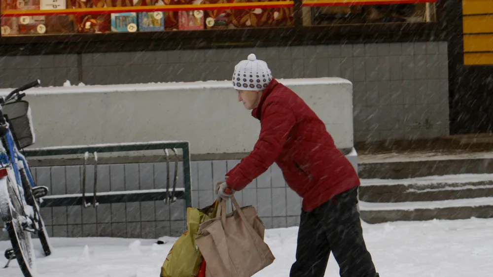 - finske sanke - Republika FINSKA 2008 - parlamentarna republika - glavno mesto Helsinki - pridružitev EU leta 1995 - ni članica zveze NATO - površina 338.145 km2 - 5,3 milijona prebivalstva //FOTO: Tomaž SkaleOPOMBA: ZA OBJAVO V PRILOGI – DNEVNIKOV OBJEKTIV - REPORTAŽA