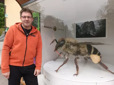 Boštjan Noč, predsednik Čebelarske zveze / Foto: Meta Černoga