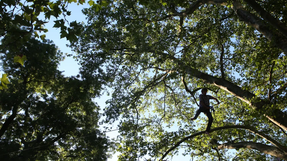 Vbod klopa lahko posameznika doleti pri dejavnostih v gozdu, a tudi na travniku in domačem vrtu. Fotografija je simbolična.