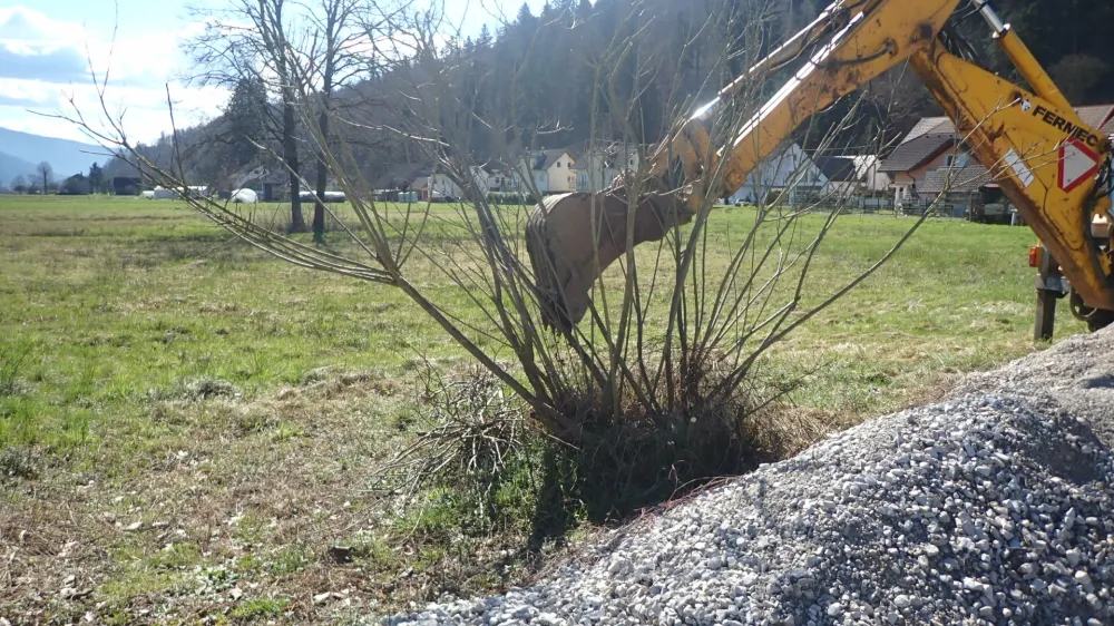 Grm invazivne rastline so odstranili tudi s pomočjo bagra. 