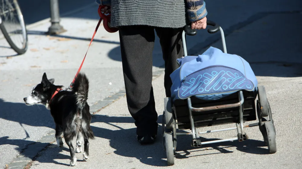 Ne le v zdravstvu, tudi v socialnem varstvu so čakalne vrste vse daljše, pa ne samo za sprejem v dom starejših, temveč tudi za pomoč na domu. 