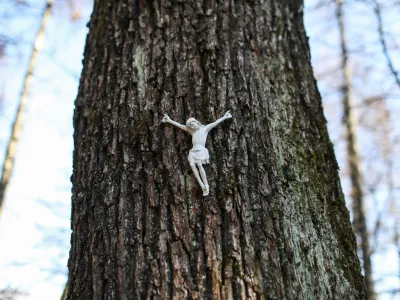 - 20.02.2024. - Simbolična fotografija, Jezus na drevesu, vera, krščanstvo, religija, Katoliška cerkev, religija.<br><br>//FOTO: Bojan Velikonja