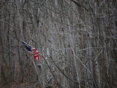A United States flag hangs in the trees at the end of a driveway near the border with Canada in Mooers, New York, U.S., March 27, 2024.  REUTERS/Brian Snyder